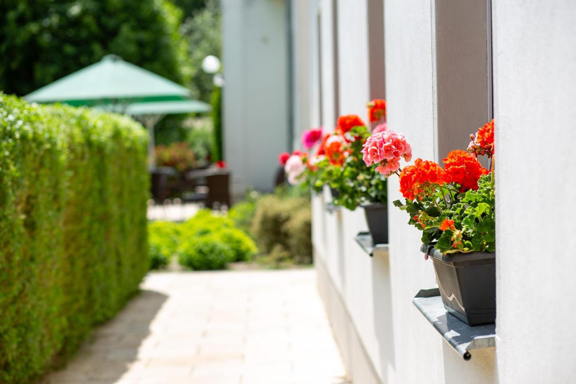 Cafe Wildau Hotel & Restaurant Am Werbellinsee Schorfheide Εξωτερικό φωτογραφία